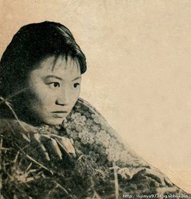 陆小雅