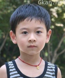 尹骜