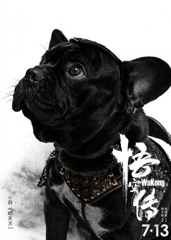 小白