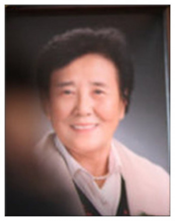 珠兰琪琪柯