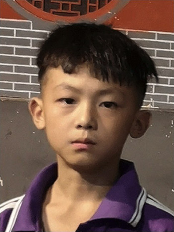 陈子豪