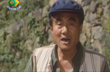 张自强