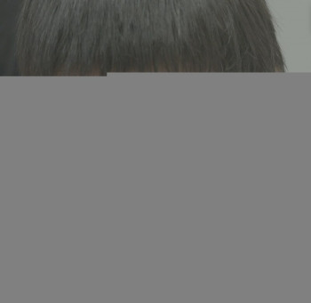 王北