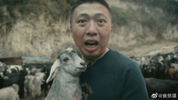 饼叔