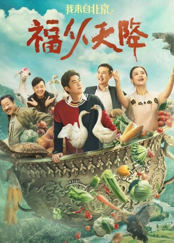 我来自北京之福从天降