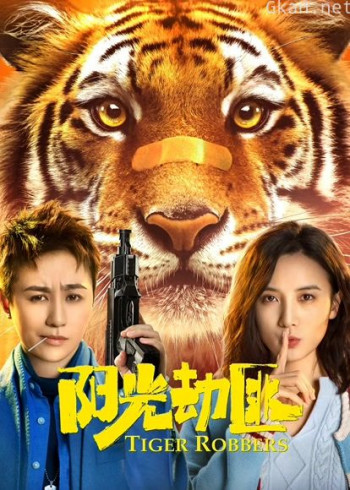 阳光劫匪
