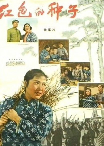 红色的种子