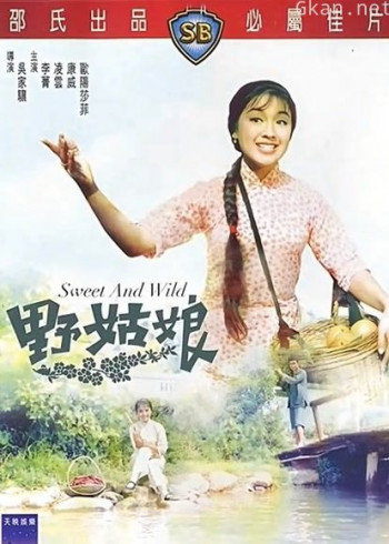 野姑娘