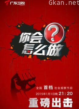 你会怎么做
