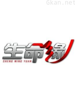 生命缘 第八季