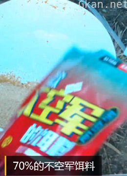 野钓,新手钓鱼开饵搭配,以及经典配方教学