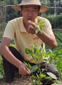 东哥美好生活 第三季