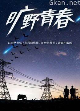 旷野青春