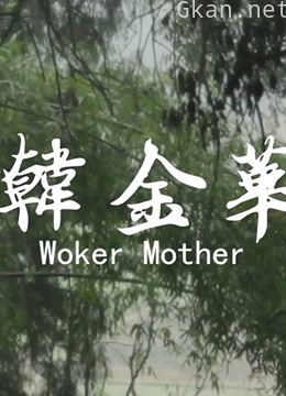 韩金华