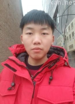 陈家庄龙龙