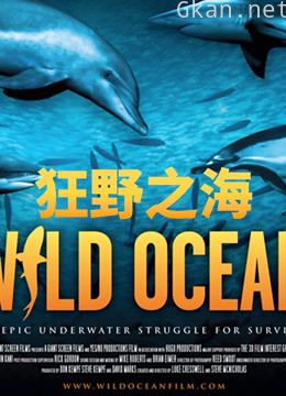 狂野之海