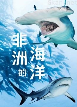 非洲的海洋