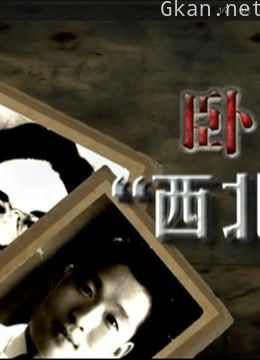 卧底西北王1