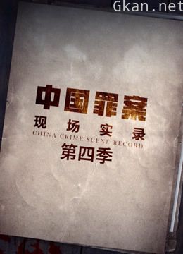 罪案现场实录 第四季