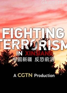 中国新疆,反恐前沿