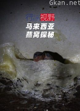 行走的视野