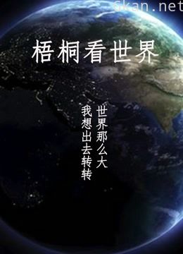 梧桐看世界