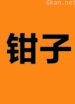 钳子记录片