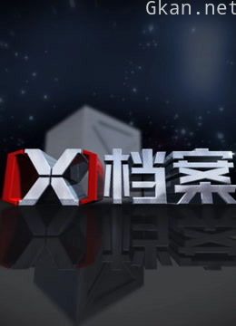 x档案(全国版)