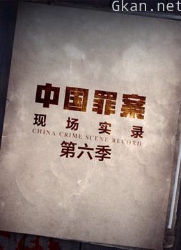 罪案现场实录 第六季