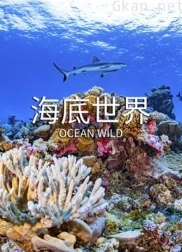 海底世界