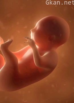 男人与睾丸激素