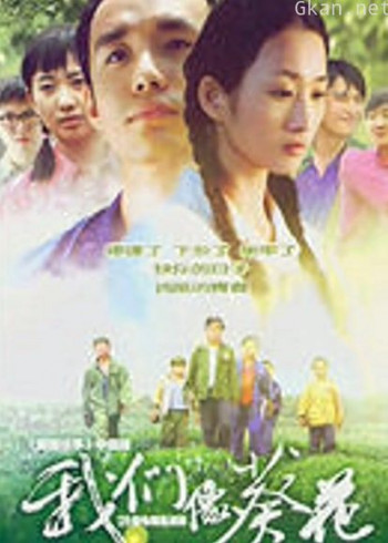 我们像葵花