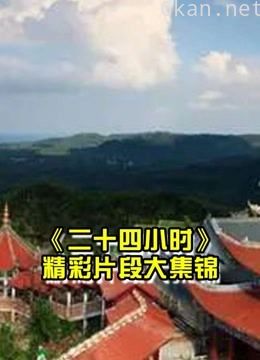 《二十四小时》 胡一天魏大勋白敬亭等明星精彩片段剪辑