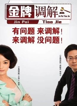 金牌调解:调解纠纷,化解矛盾