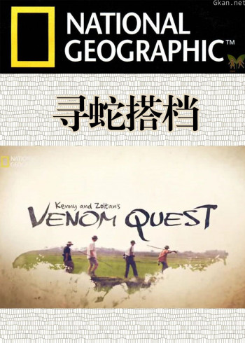寻蛇搭档