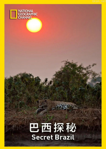 巴西探秘