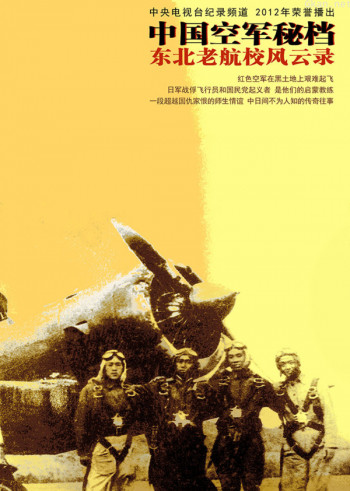 中国空军秘档
