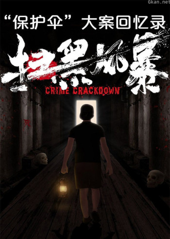 扫黑：“保护伞”大案回忆录