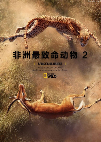 非洲最致命动物 第二季
