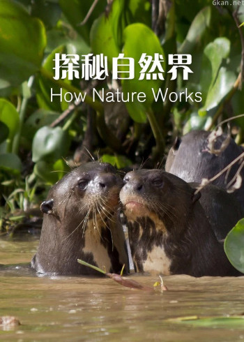 探秘自然界