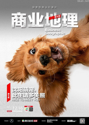 商业地理 第四季第7期：沈阳萌宠，此生请多关照