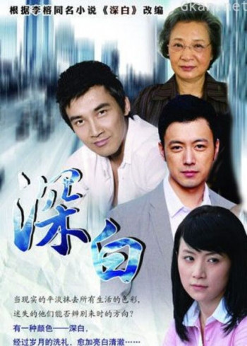 再婚进行时