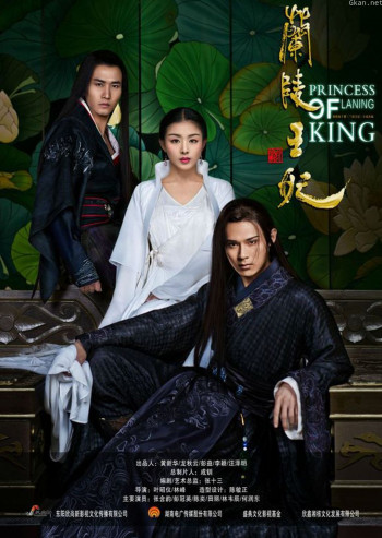 兰陵王妃 DVD版