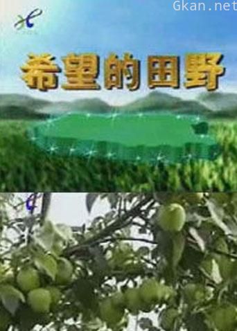 希望的田野