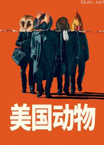 美国动物
