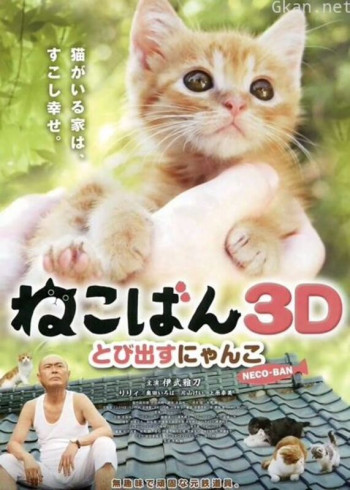 小猫跳出来3D