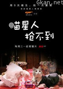 喵星人抢不到