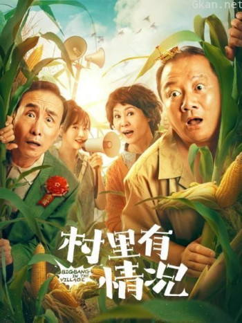 村里有情况