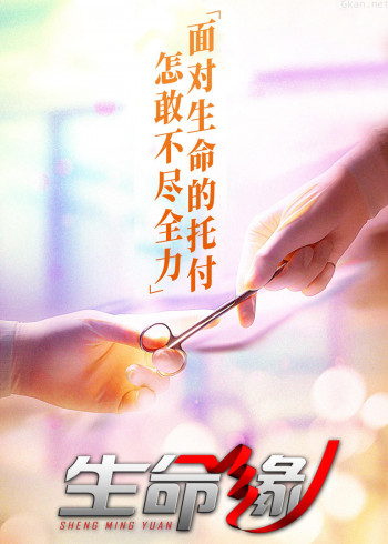 生命缘 第十季