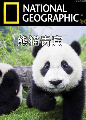 熊猫贵宾